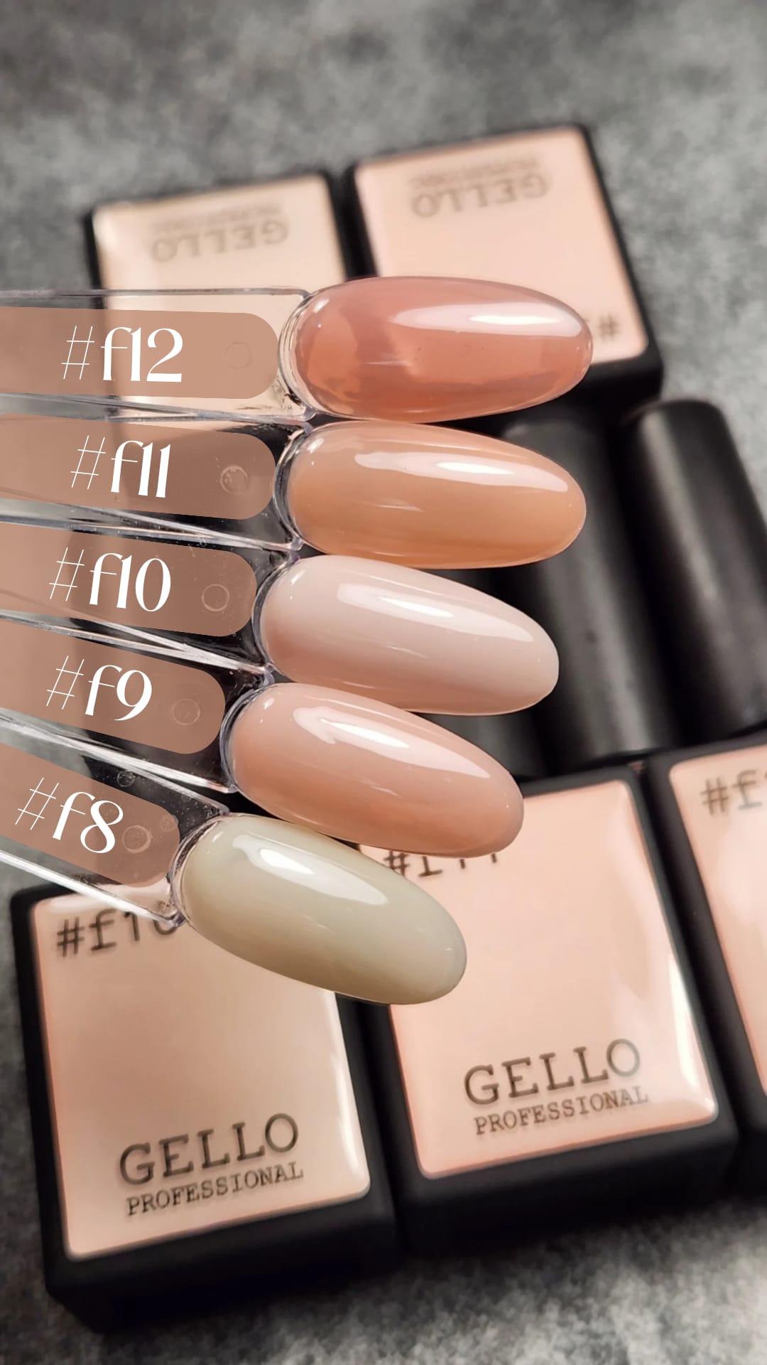 קיט - 5 צבעי בסיס + פרנץ איילנר מתנה !