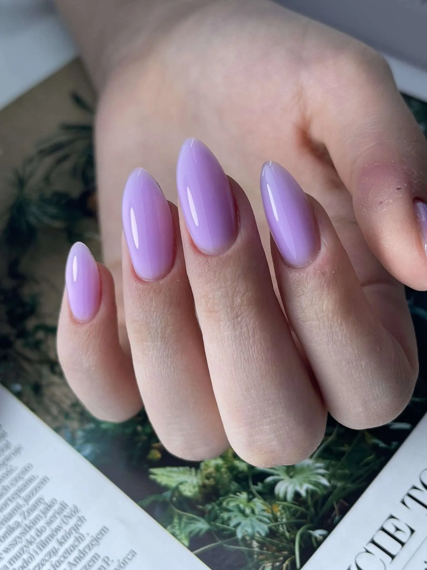 בייס צבע מספר 29 – Glamour