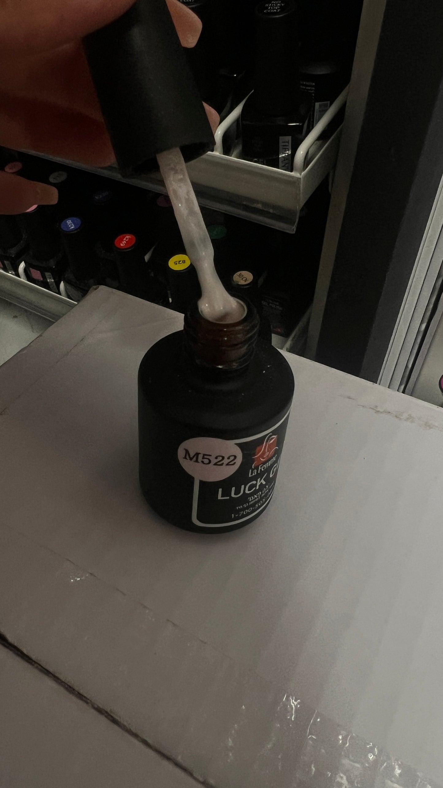 לה פאם פאני באני 522